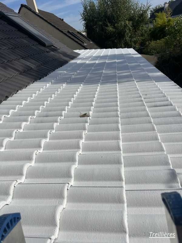 Cool roofing d'un toit à Treillières par TC Habitat