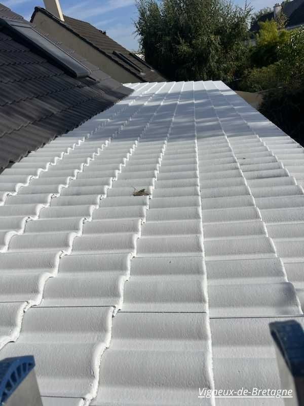 Cool roofing d'un toit à Vigneux-de-Bretagne par TC Habitat